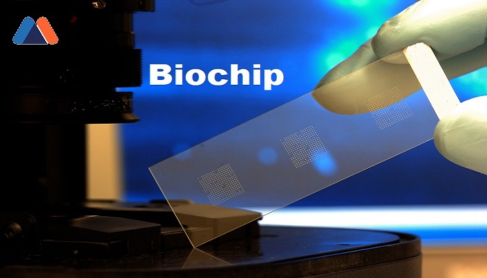 Biochip