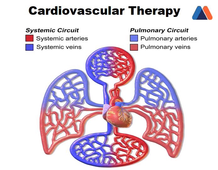 Cardiovascular Information System